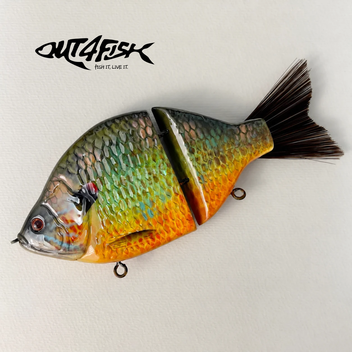 Fulin | Pumpkin Seed - Out4Fish × Little River Lure Lady