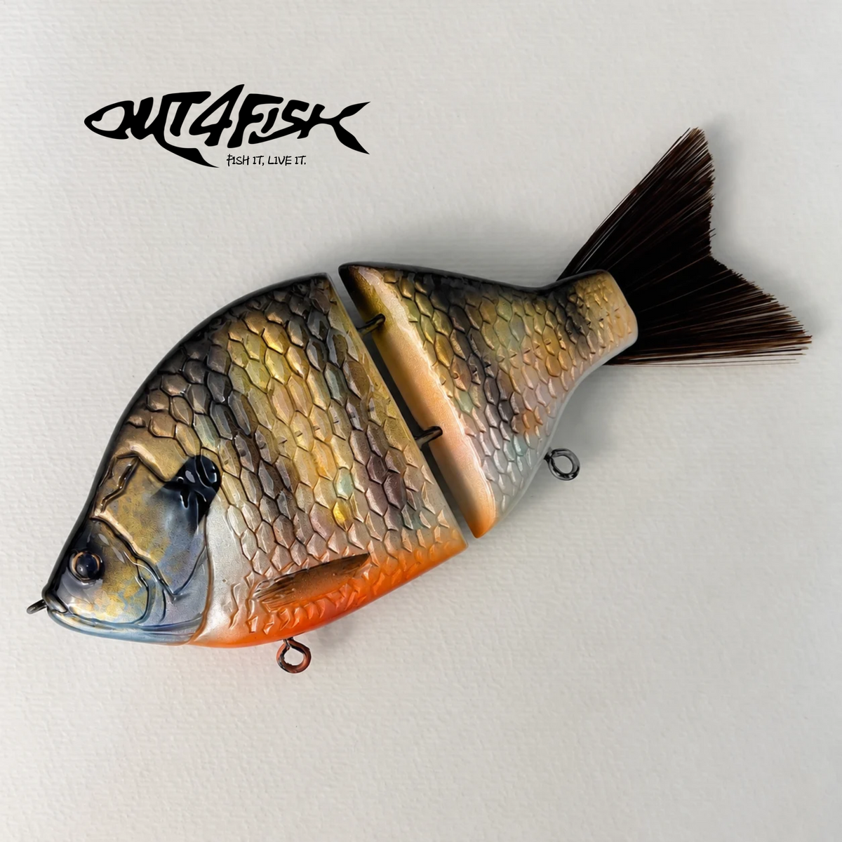 Fulin | Bluegill - Out4Fish × Little River Lure Lady