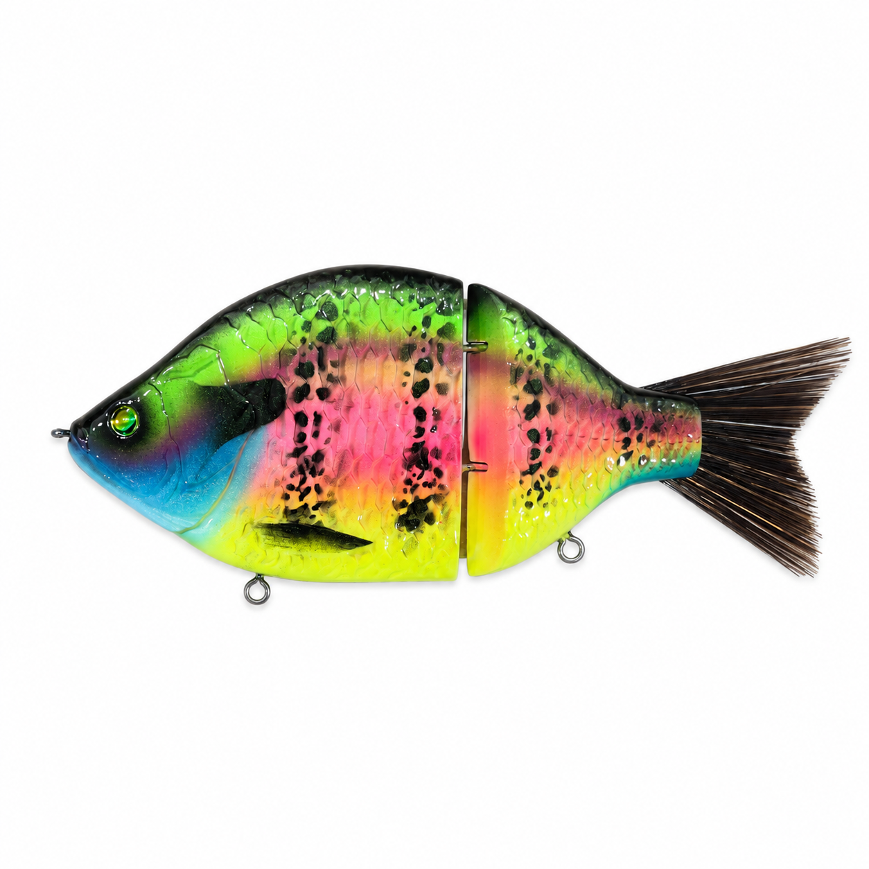 Fulin | 金魚