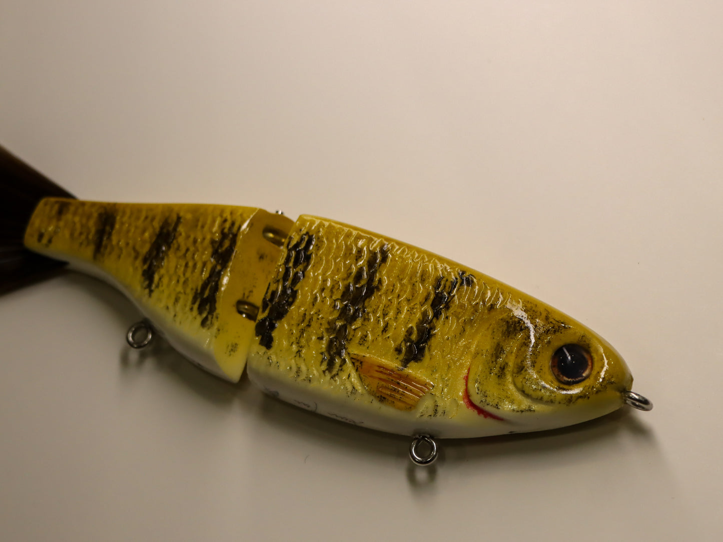 Smallmouth Bass