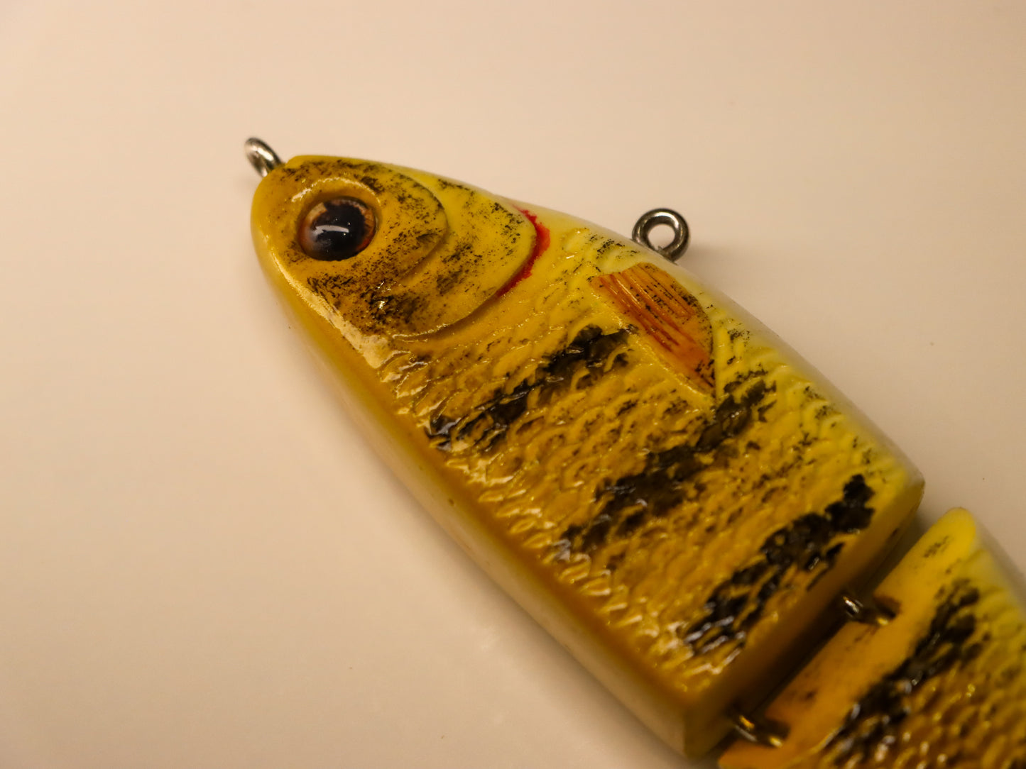 Smallmouth Bass