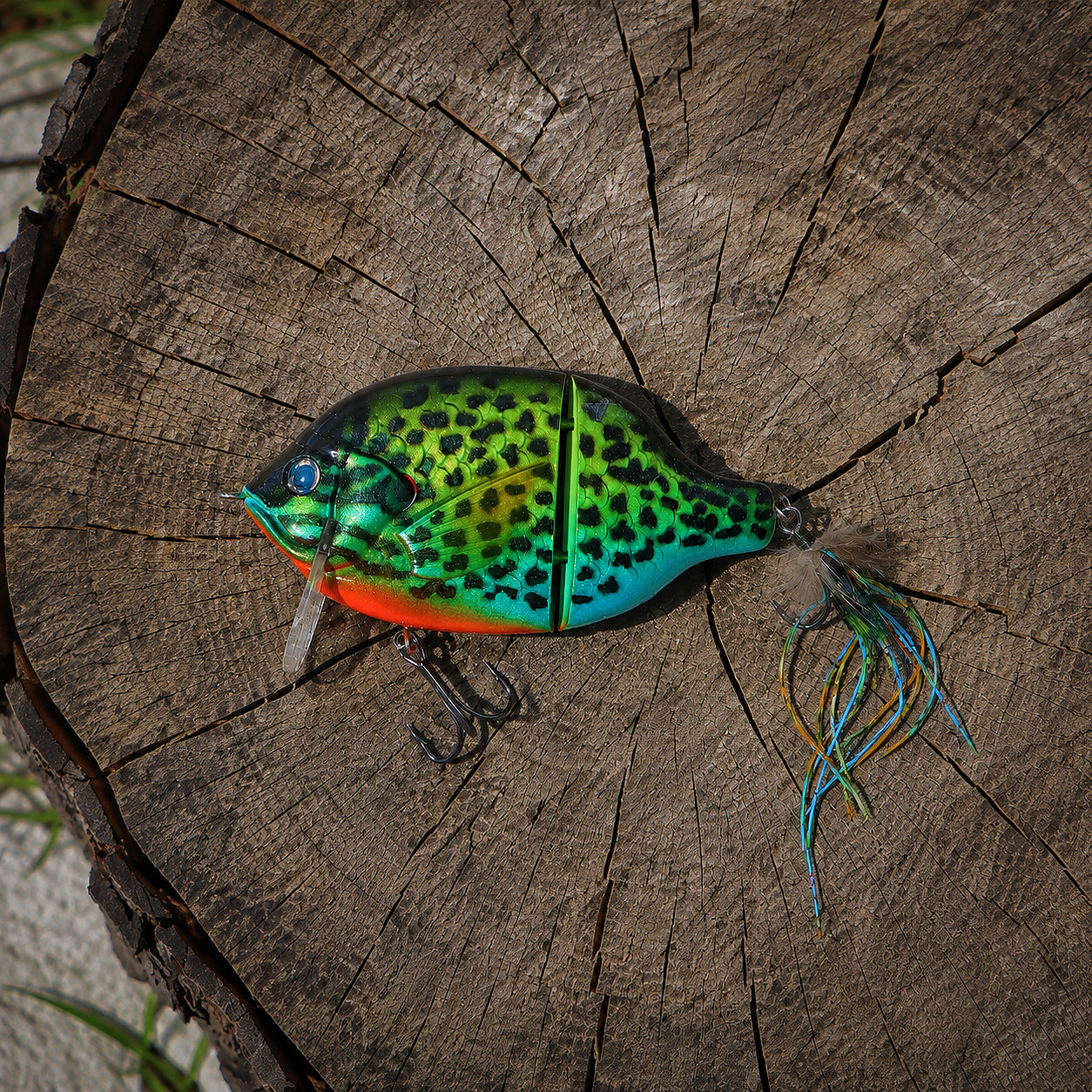 StrayGill | Green Sunfish