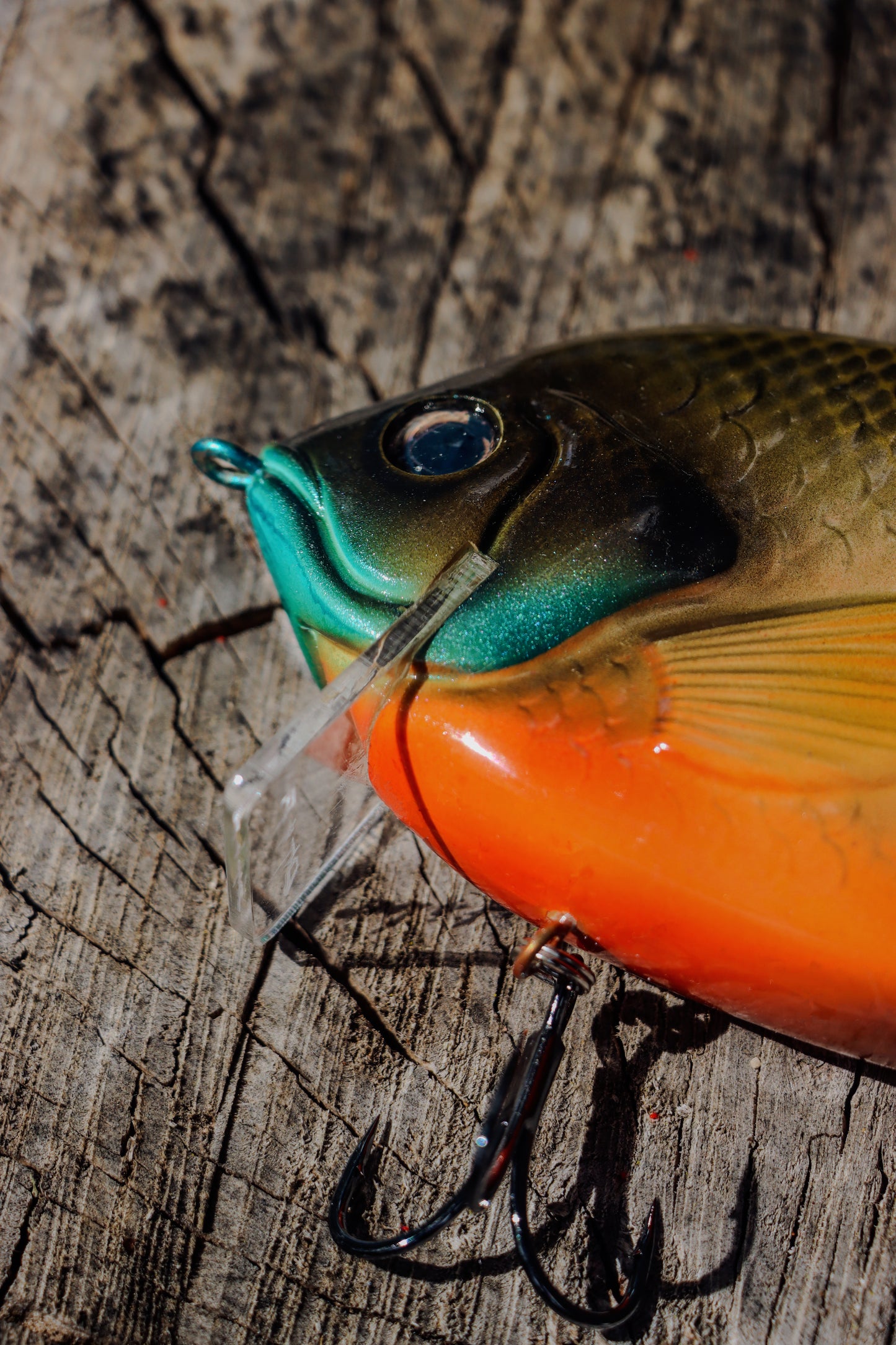 StrayGill | Bluegill