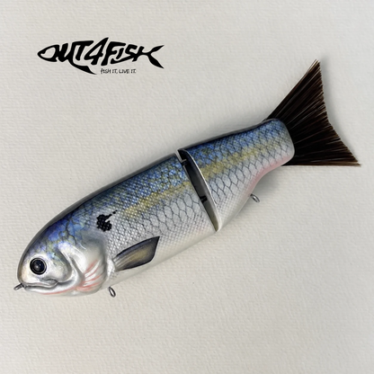 Titan | Blue Pearl Shad - Out4Fish × Little River Lure Lady