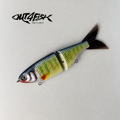 Baby Shad | Pale Chub - Limited Edition