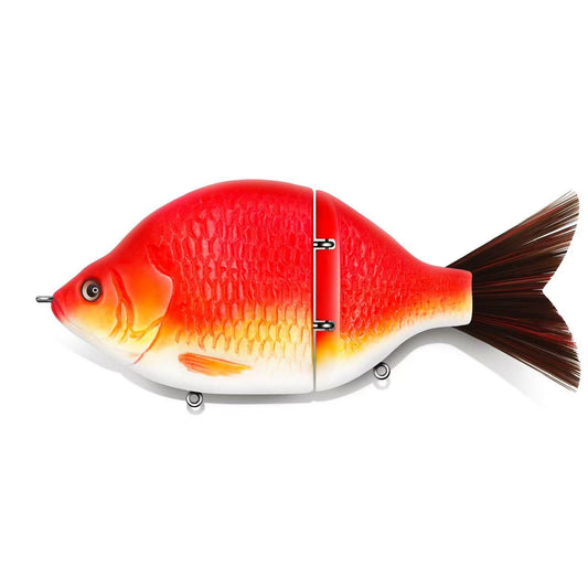 Gold Fish
