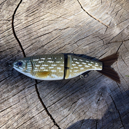 Baby Shad｜Pike