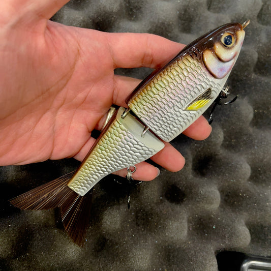 Baby Shad｜ Shiner(2026 Limited)