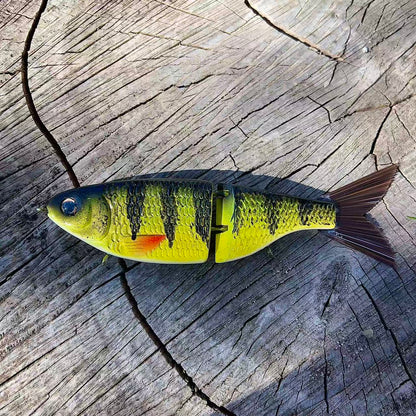 Baby Shad｜Perch