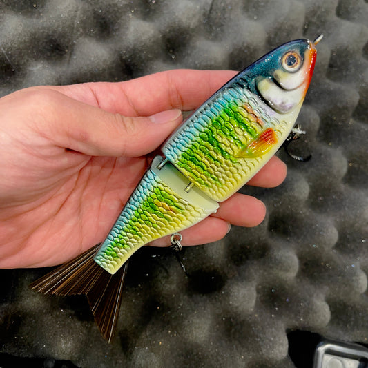 Baby Shad｜ Pale chub(2026 Limited)