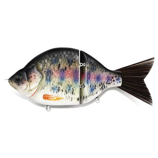 Trout Carp