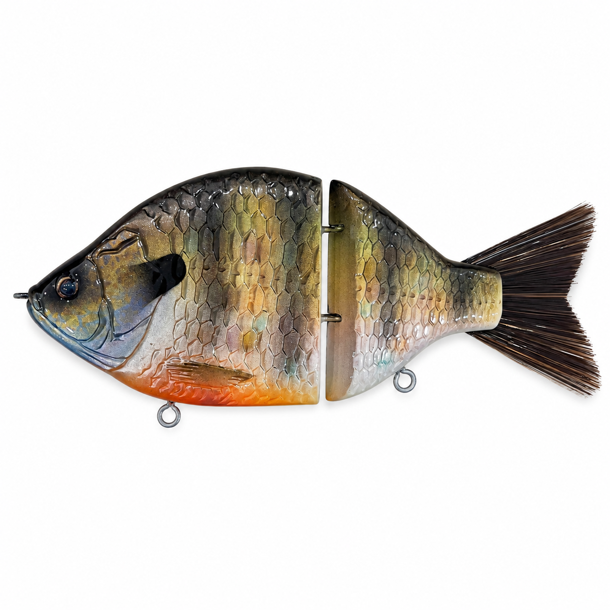 Fulin | 金魚