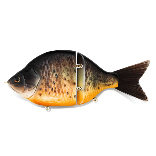Warmouth