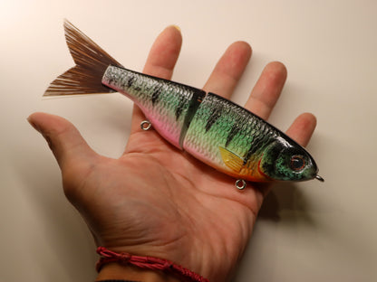 Gill