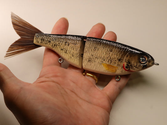 Bighead carp