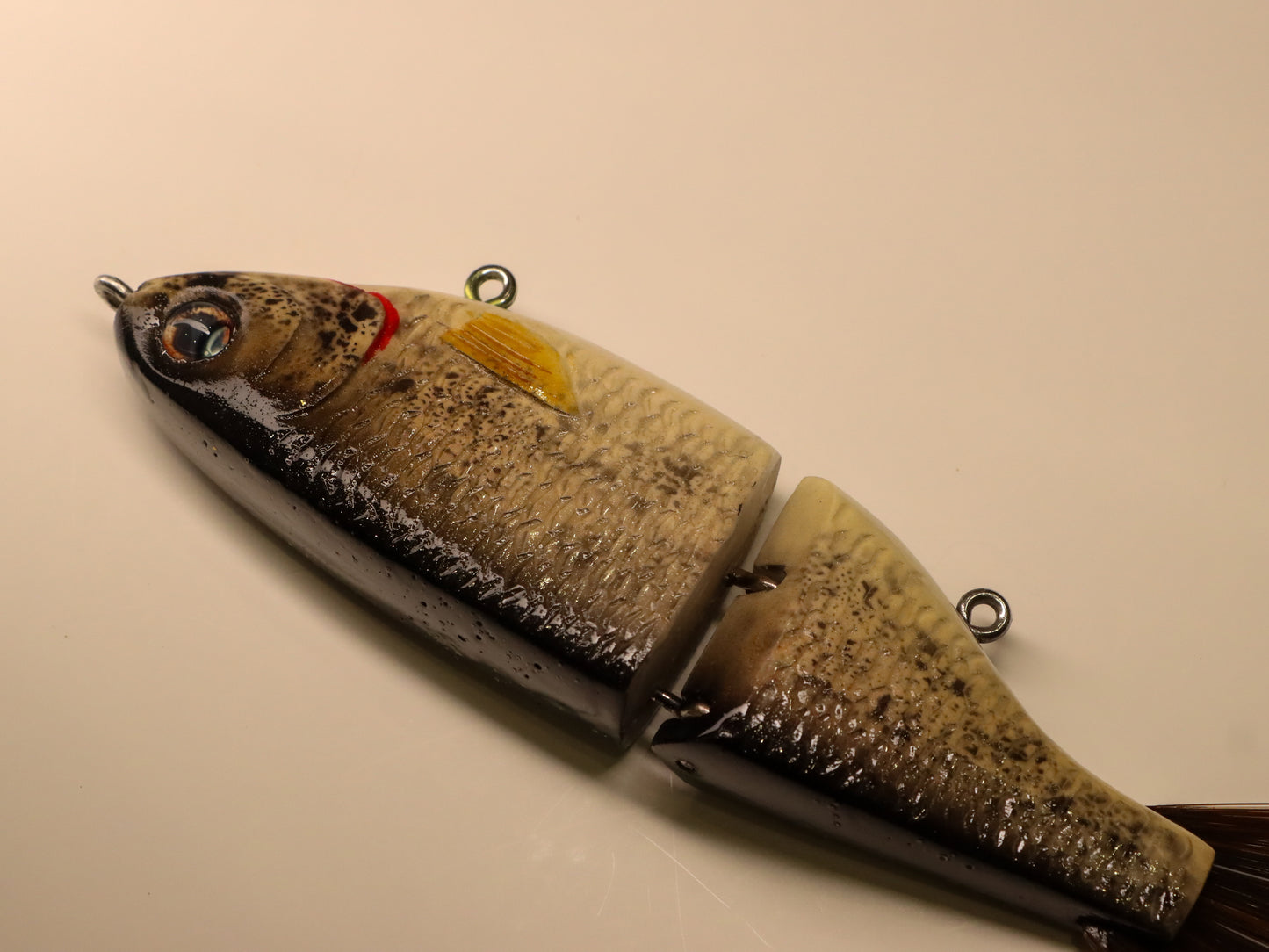 Bighead carp
