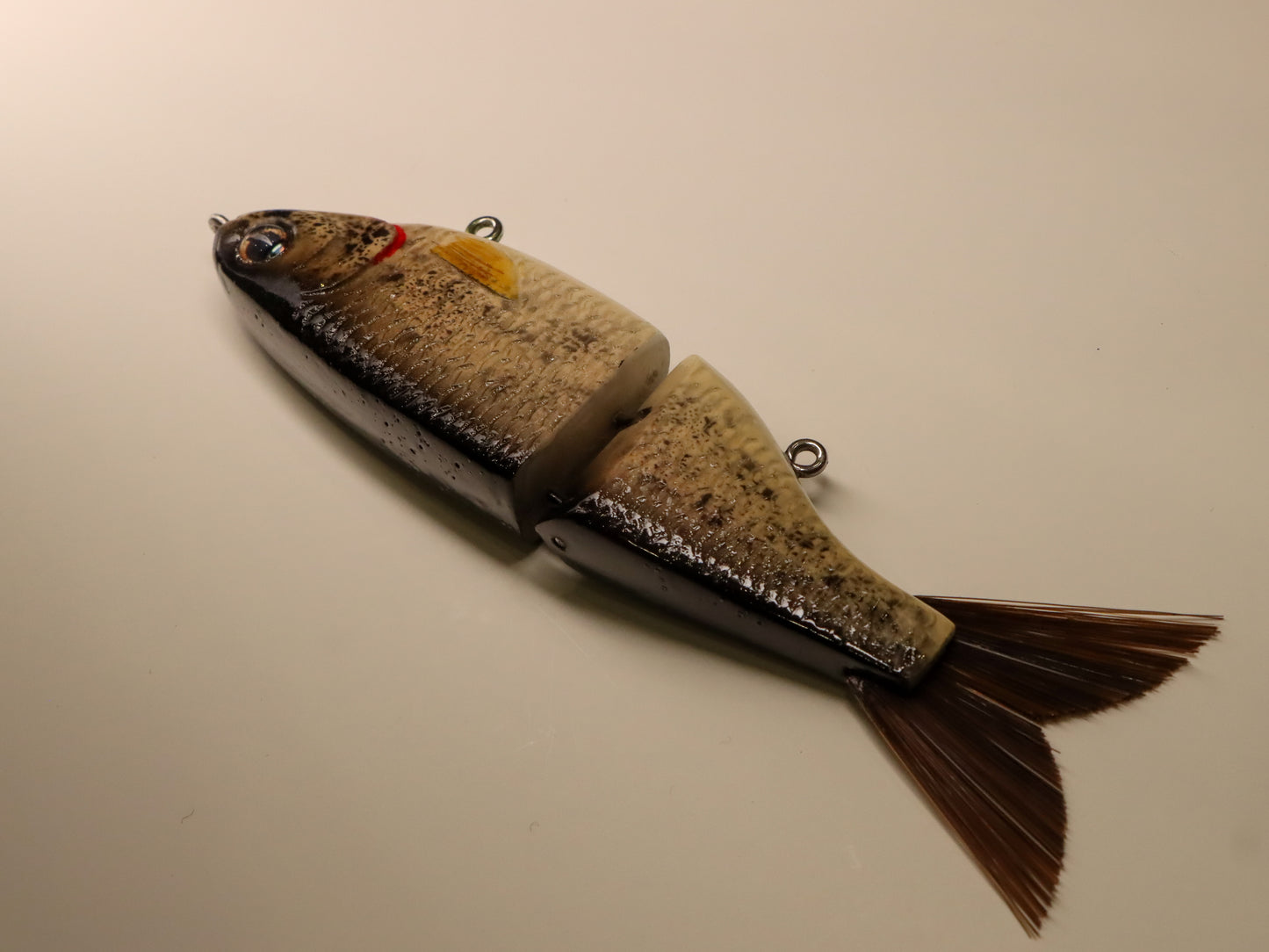Bighead carp