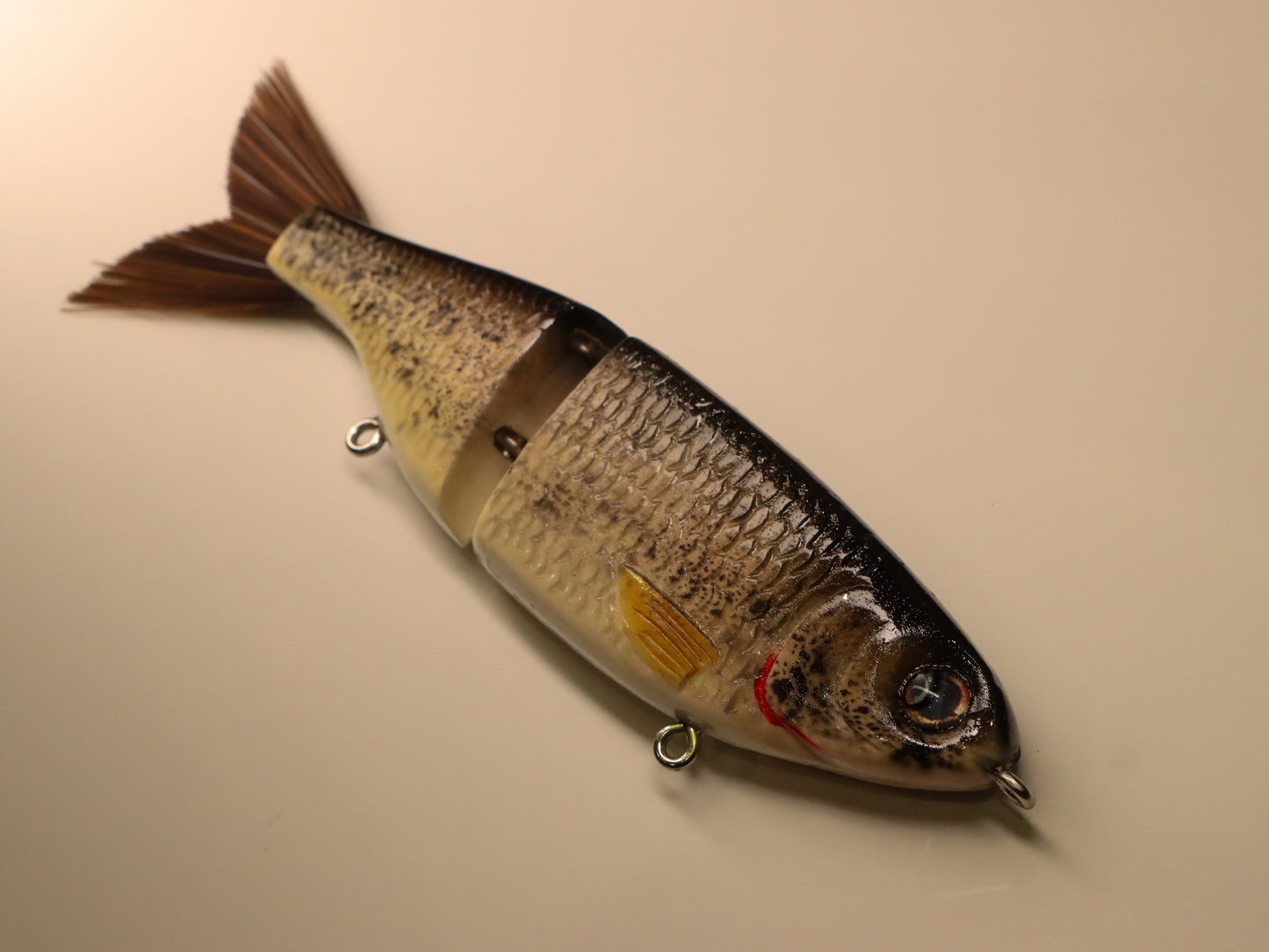 Bighead carp