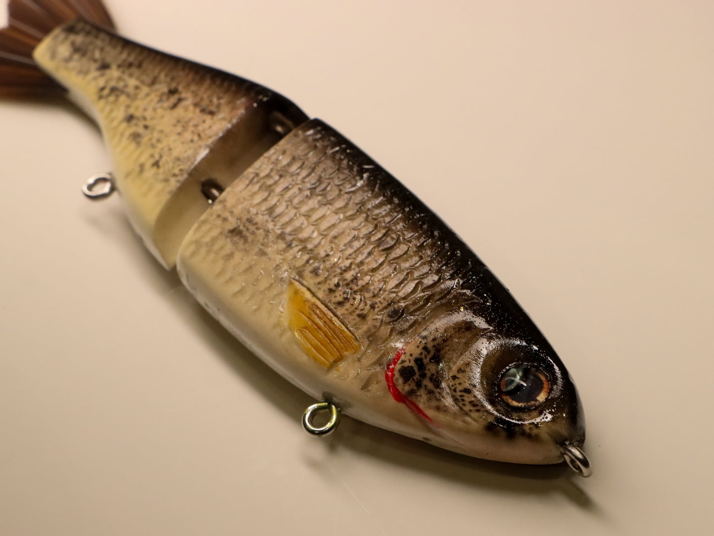 Bighead carp
