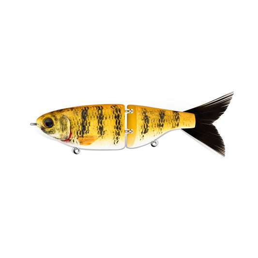 Smallmouth Bass