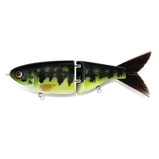 Baby Bass