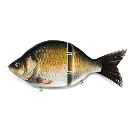 Mega Crucian