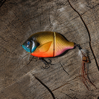StrayGill | Bluegill