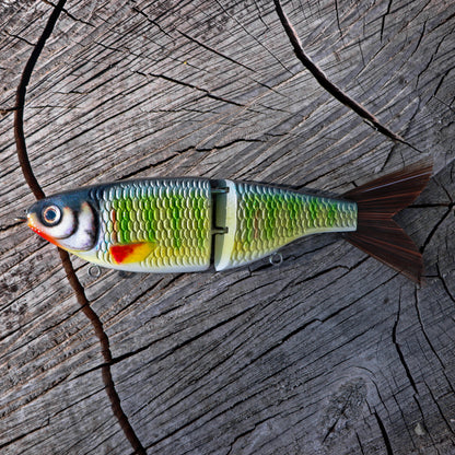 Pale Chub - 2026 Limited
