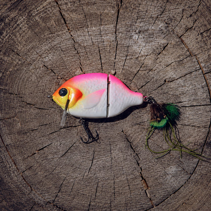 Baby StrayGill | Peach Bomb
