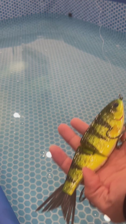 Baby Shad｜Perch