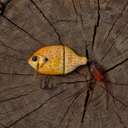 Baby StrayGill | Pumpkin Seed