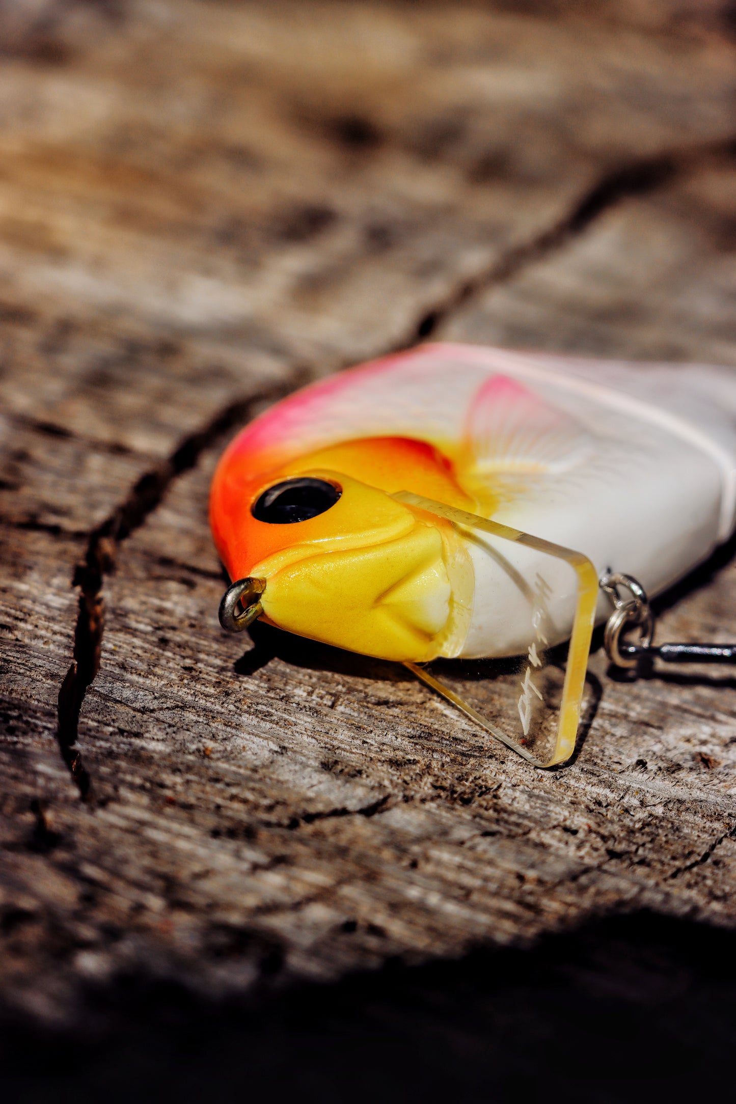 Baby StrayGill | Peach Bomb