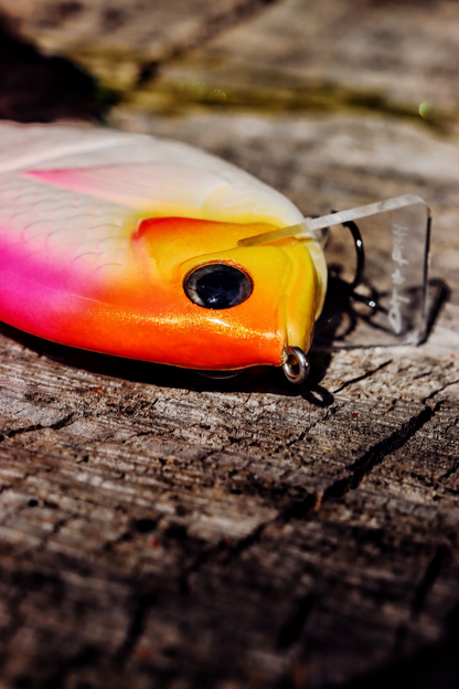 Baby StrayGill | Peach Bomb