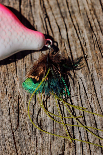 Baby StrayGill | Peach Bomb