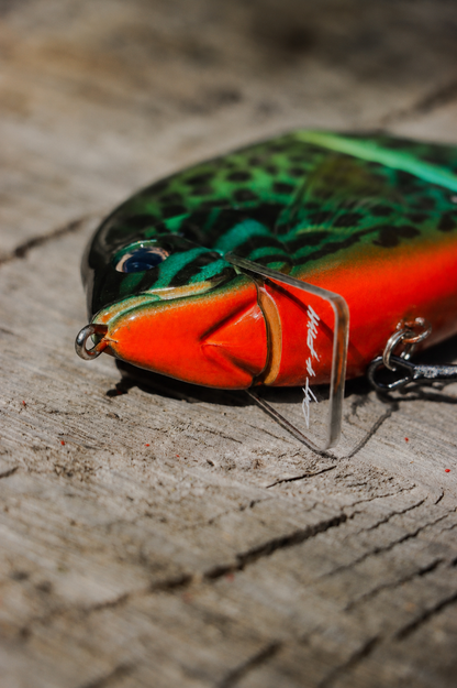 Baby StrayGill | Green Sunfish