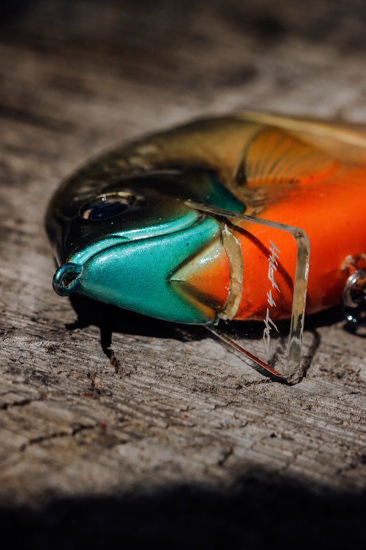 StrayGill | Bluegill