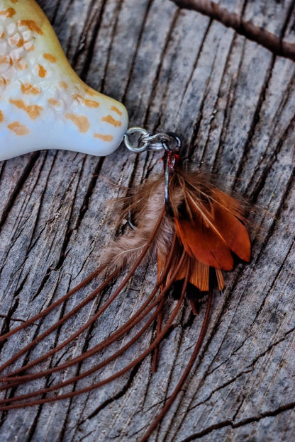 Baby StrayGill | Pumpkin Seed