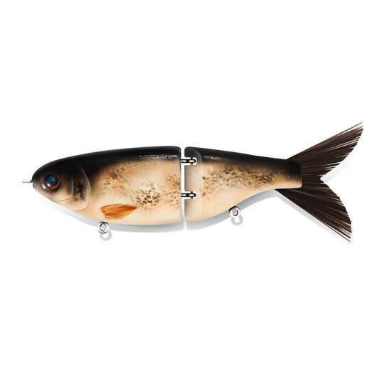 Carp Revenge Bundle