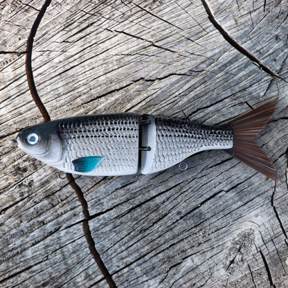 Baby Shad | Striper